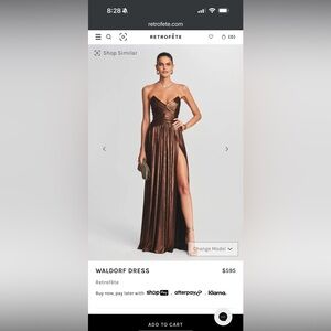 Elegant Bronze Evening Gown